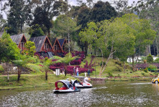 Jelang Nataru!  eMTe Highland Resort Sudah Siap Berikan Pelayanan Maksimal Pada Pengunjung