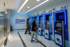 BRI Bukukan Kontribusi Pajak Terbesar di Industri Keuangan, Dukung Pembangunan Nasional Bersama Danantara