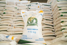 Bantuan Beras 30 Kg September 2026 Disalurkan, Cek Apakah Kamu Masuk Penerima