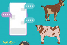 Penjelasan: Hukum Beli Hewan Kurban Idul Adha Secara Online