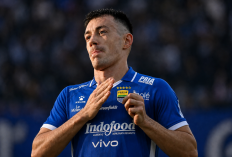 Update Transfer Pemain Persib: Wilujeung Sumping Mariano Peralta