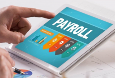 Mengenal Aplikasi Payroll untuk Mengelola Penggajian Perusahaan