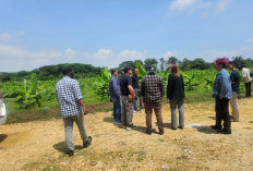 Sengketa Lahan Desa Kanci Cirebon Resmi Inkracht, PT DKI Sah Pemilik Tanah Menurut Hukum   