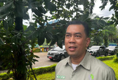 Usai Diberhentikan Sementara, PT Aspex Kumbong Ungkap Ini