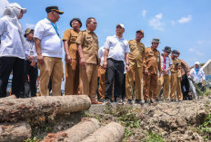 Bantu Petani Demak Tanam Hingga 3 Kali Setahun, Ahmad Luthfi Pastikan Normalisasi Saluran Irigasi Lancar