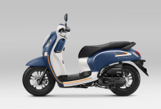 Spesifikasi Terbaru Honda Scoopy 2026: Desain Retro Modern, Irit BBM dan Fitur Makin Canggih