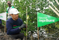 Telkomsel Ajak Pelanggan Tukar Poin Jadi Pohon, Gerakan Jaga Bumi 2026 Libatkan Generasi Muda hingga Komunitas