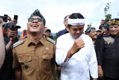 Pulihkan Ekosistem, Gubernur Jabar dan Bupati Bandung Pimpin Penanaman Pohon Teh dan Kekayuan di Pangalengan