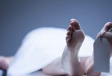 Akademisi Psikologi Martasandy Ungkap Akar Kasus Pembunuhan Penjaga Konter HP