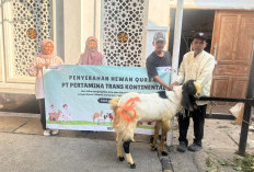 Pertamina Trans Kontinental Rayakan Iduladha 2026 dengan Menjaga Layanan dan Berbagi Kurban