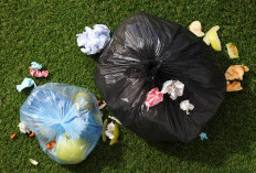 Pemkab Bogor Ungkap Belum Terima Komunikasi Resmi dari Pemkot Tangsel Terkait Kelola Sampah di Cileungsi