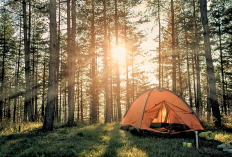 5 Tempat Camping di Jawa Barat yang Pemula Friendly