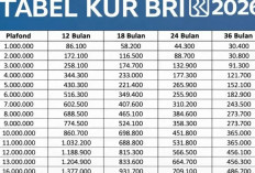 Simulasi KUR BRI 2026 Pinjaman Rp50 Juta, Cicilan Terendah di Bawah Rp1 Jutaan