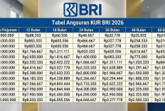 KUR BRI 2026 Bulan Maret: Pinjaman Rp50 Juta, Syarat, dan Tabel Cicilan Terbaru