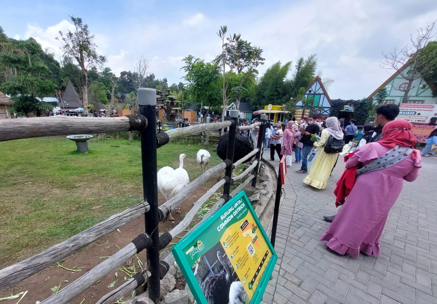 Ayo Piknik! Obyek Wisata di Lembang Sudah Dibuka